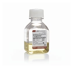 AmphotericinB Solution