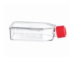 CC Flasks T75 Canted Neck