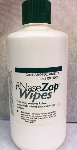 Initrogen Ambian RNA Ezap